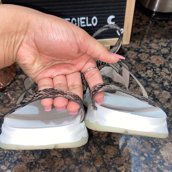 wild fable : kaya gladiator sandals - Picture 5 of 8